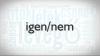 Embedded thumbnail for IGEN/NEM